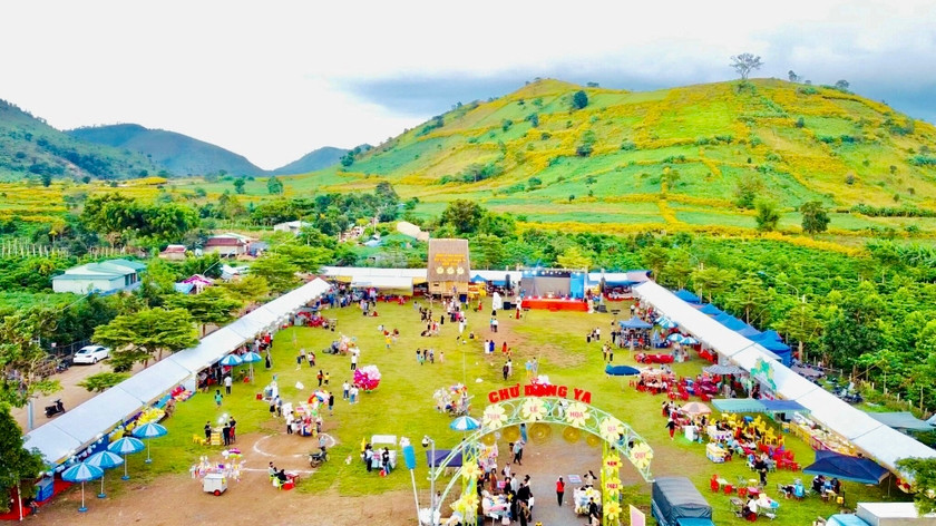 mùa hoa dã quỳ tháng 11