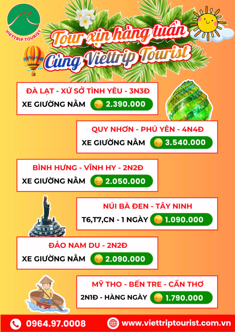 tour xịn hàng tuần cùng VIETTRIP TOURIST