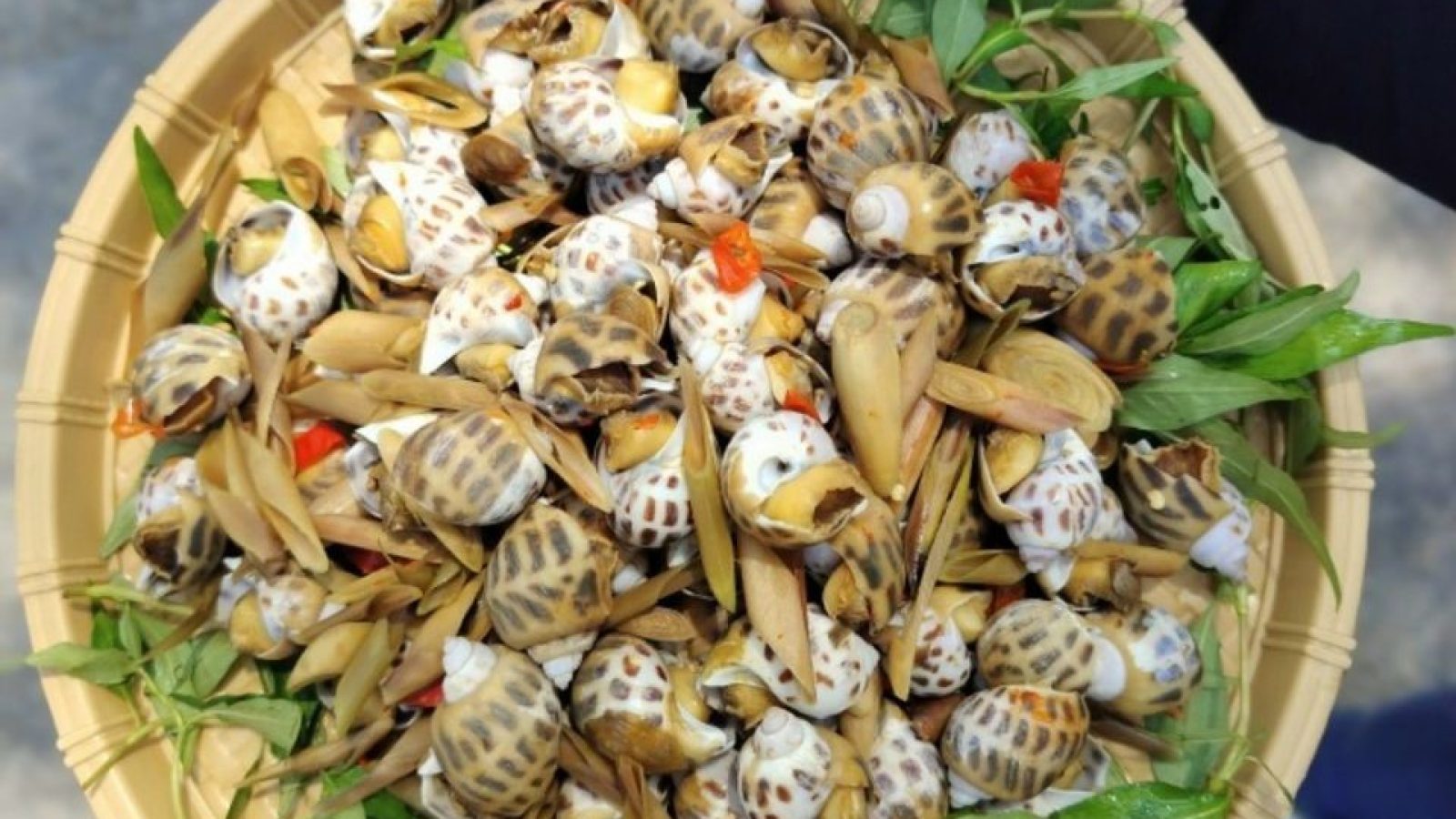 Thiết kế chưa có tên - 2