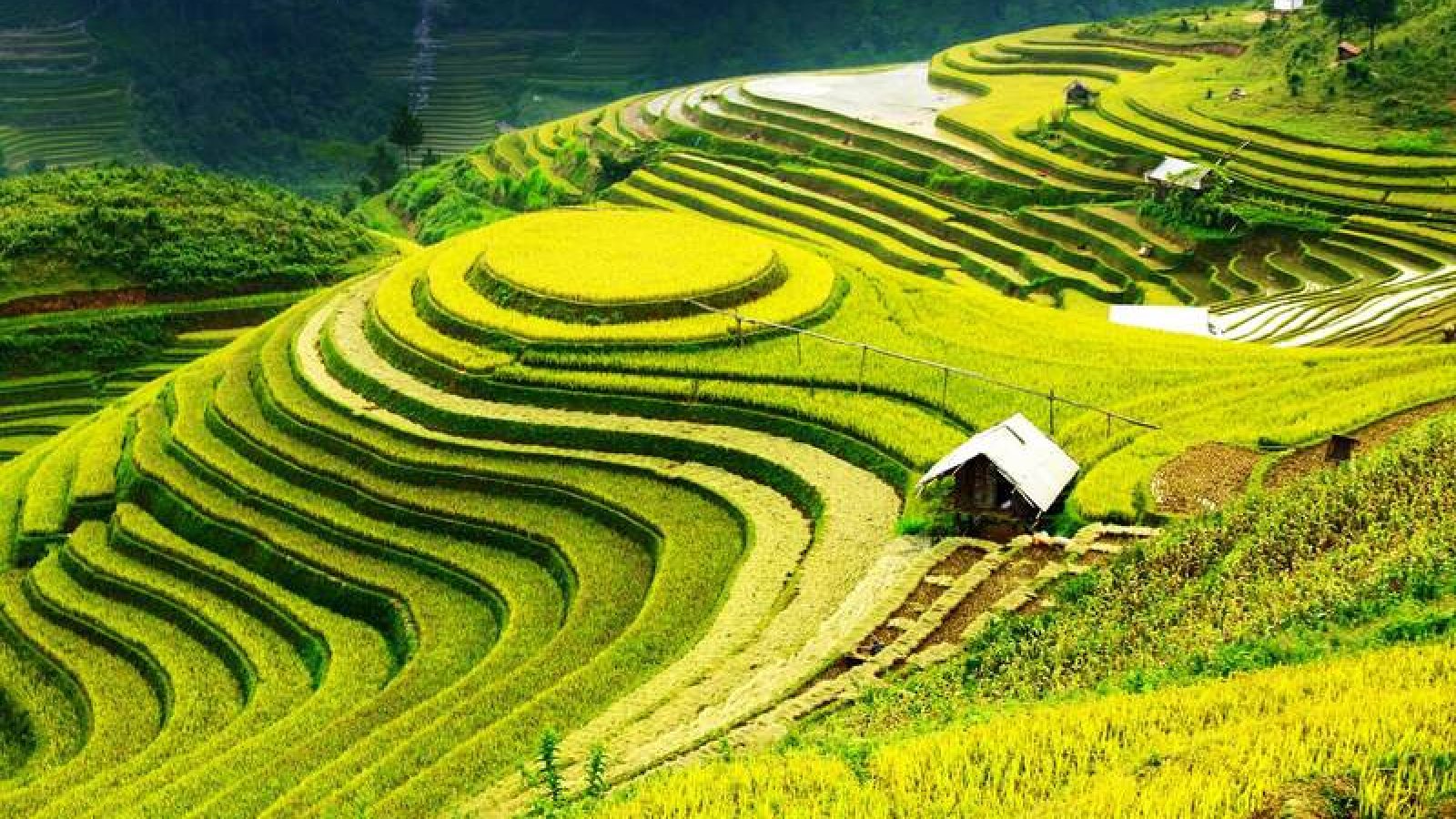 Kinh-nghiem-du-lich-Lao-Cai-1