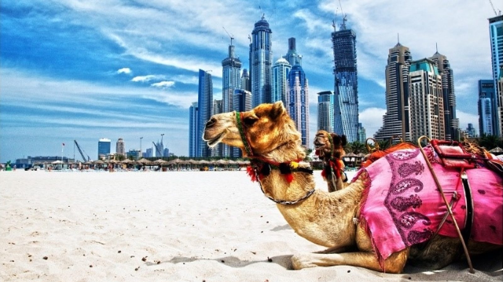 di-du-lich-Dubai-can-luu-y-nhung-gi